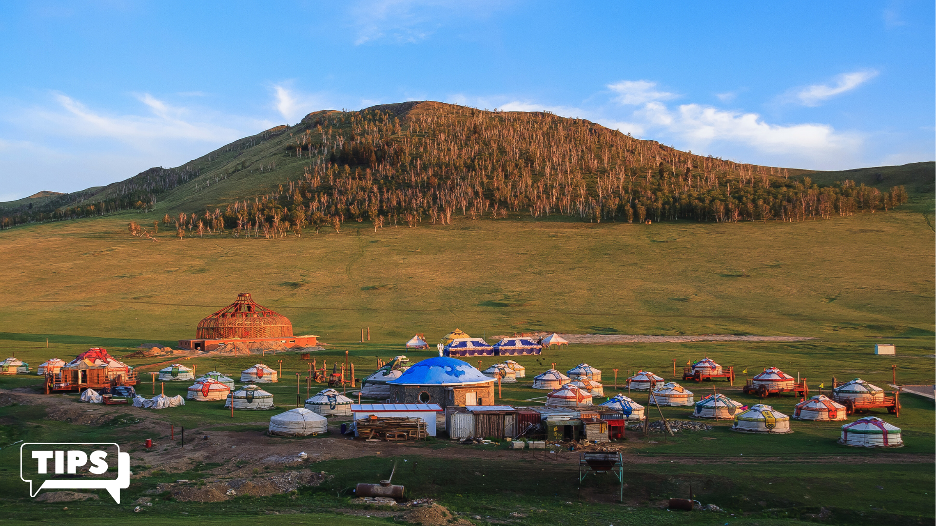 Top Mongolia Local Travel Tips for Adventurous Visitors